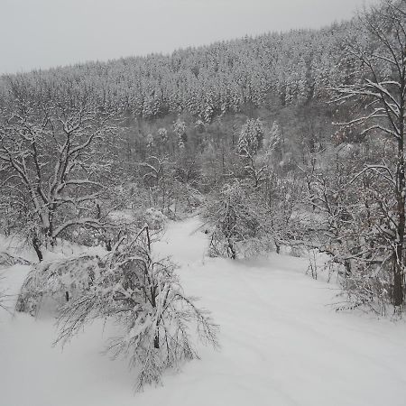 Guest House Pandukov Apriltsi  Εξωτερικό φωτογραφία